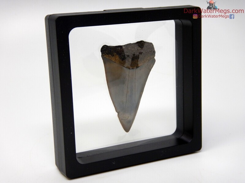 2.13&quot; mako in floating frame