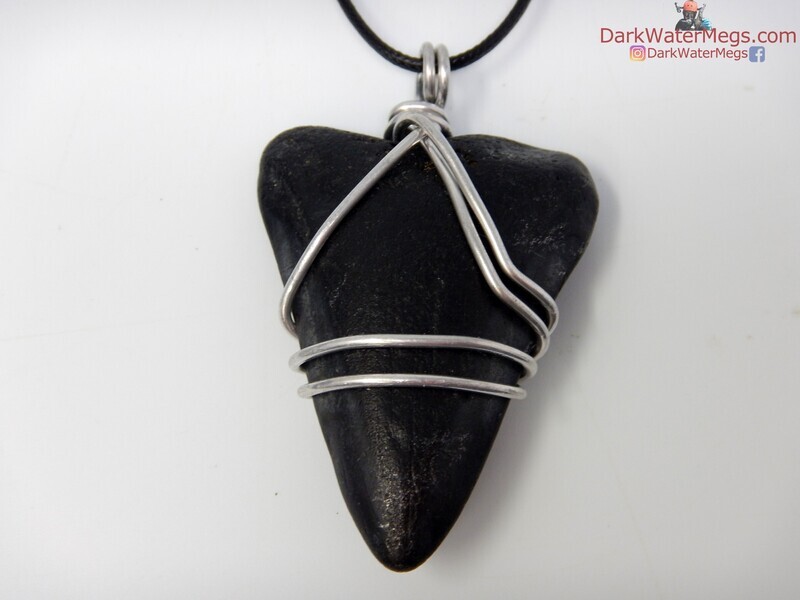 2.44&quot; megalodon necklace
