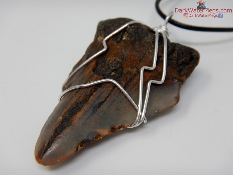 2.32&quot; megalodon necklace