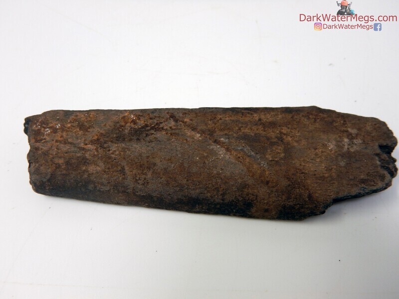 4.15&quot; shark predated whale rib