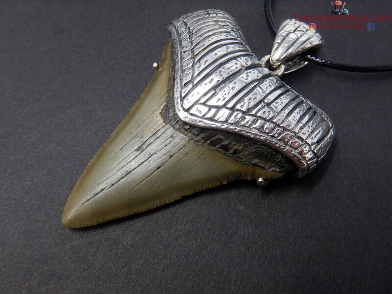 2.50&quot; stunning megalodon necklace with sterling setting
