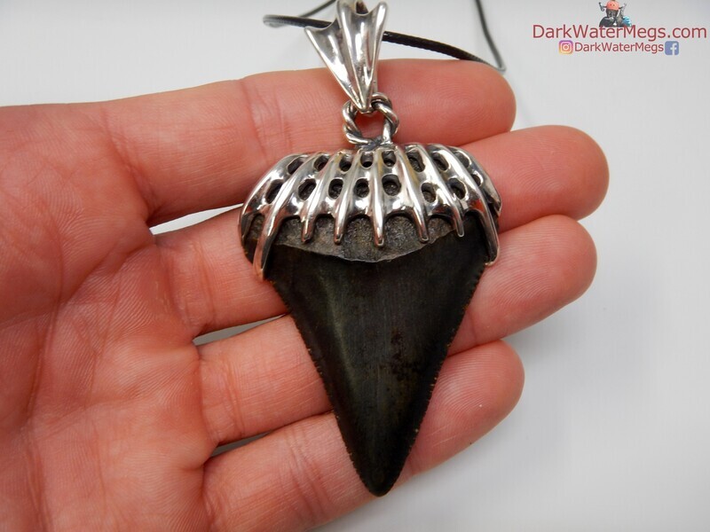 2.24&quot; fossil great white necklace with custom sterling setting