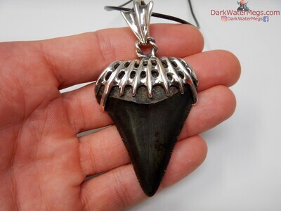 2.24" fossil great white necklace with custom sterling setting