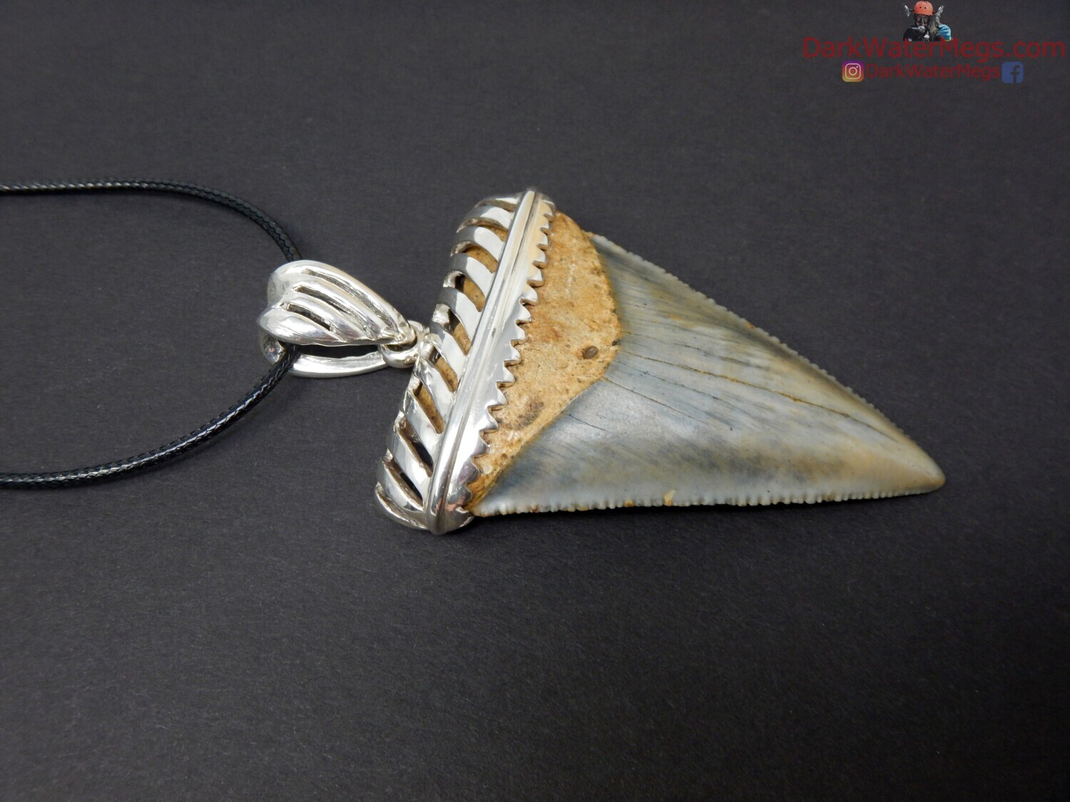 2.50&quot; fossil great white necklace with custom sterling setting