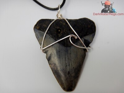 2.01" Megalodon Necklace Wire Wrapped