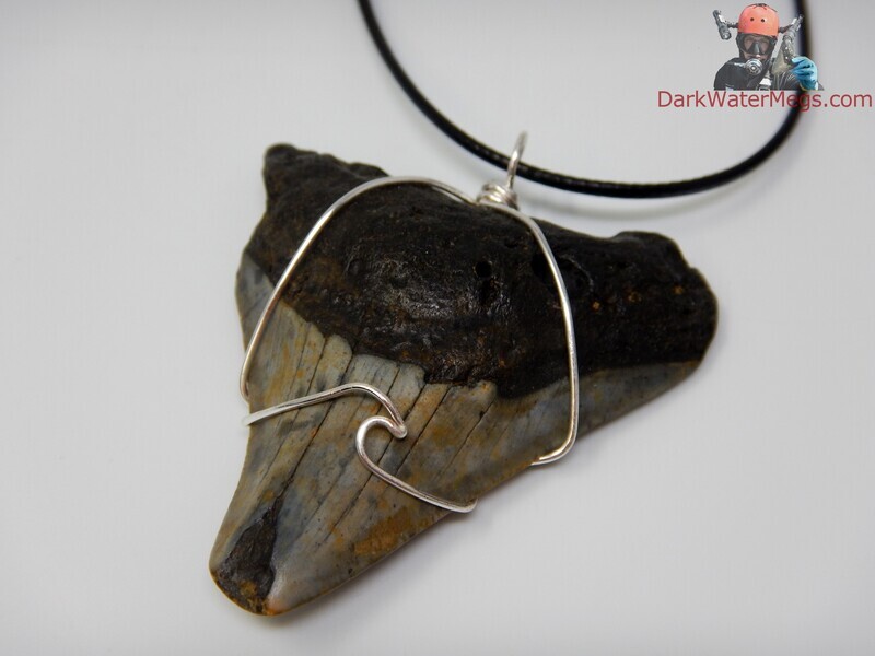 2.31&quot; Megalodon Necklace Wire Wrapped
