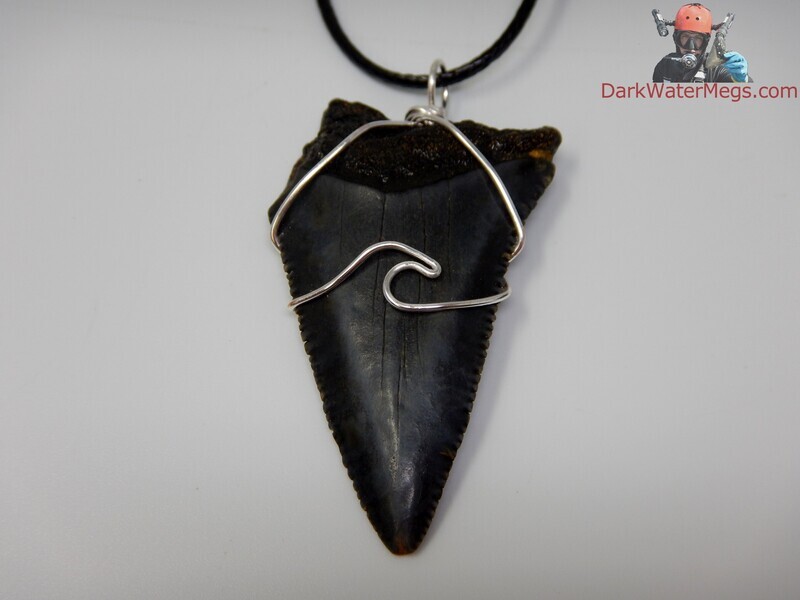 2.08&quot; fossil great white necklace