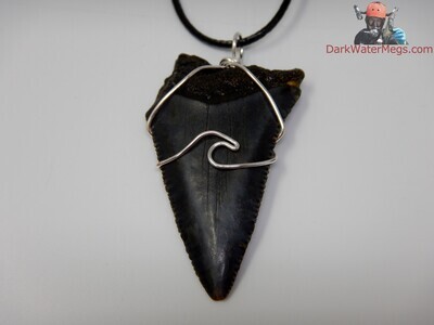 2.08" fossil great white necklace
