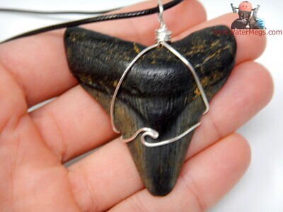 2.33" Megalodon Necklace Wire Wrapped