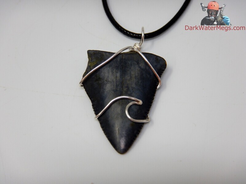 1.49&quot; fossil great white necklace