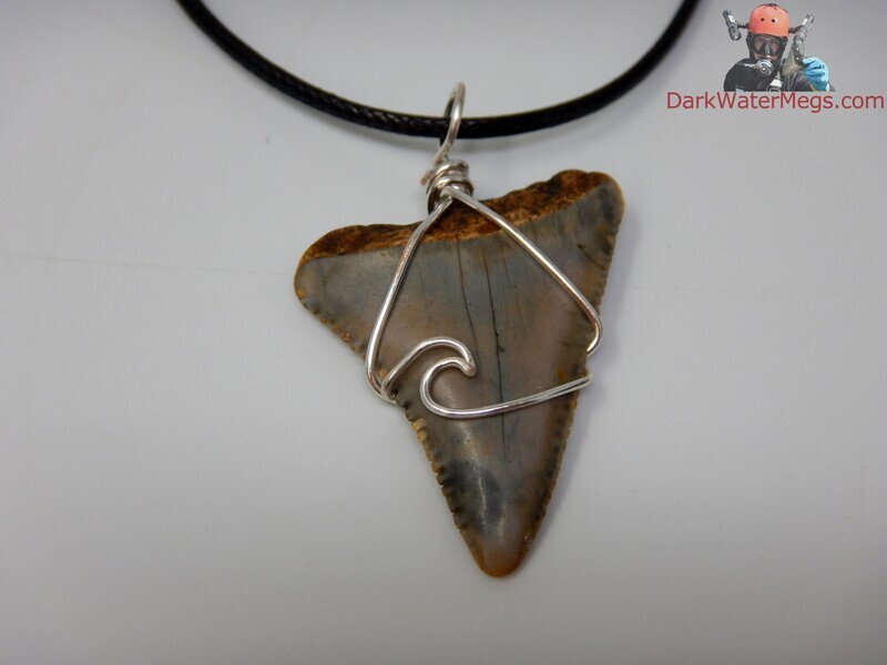 1.50&quot; fossil great white necklace