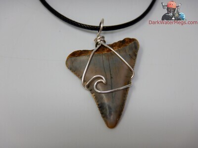 1.50" fossil great white necklace