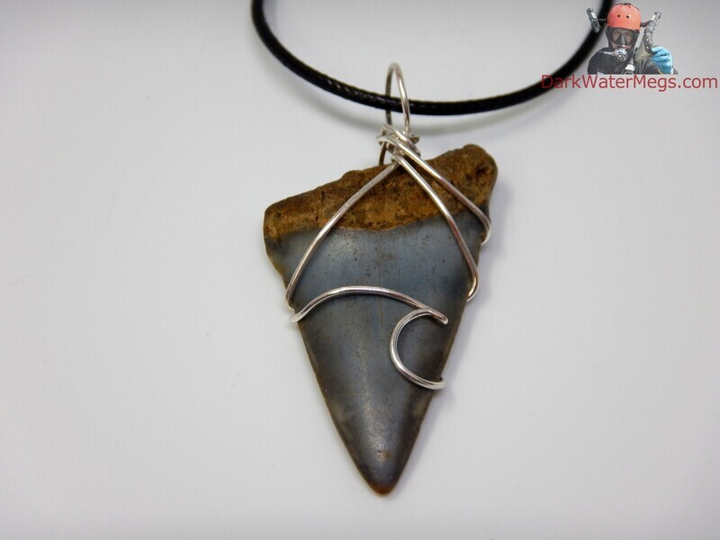 1.82&quot;  Wire Wrapped Mako Necklace