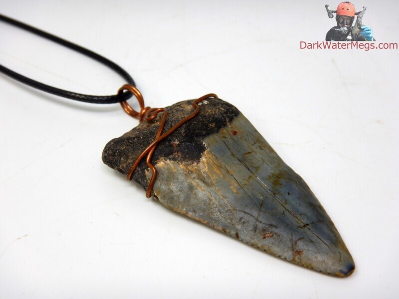 2.22&quot;  Wire Wrapped Mako Necklace
