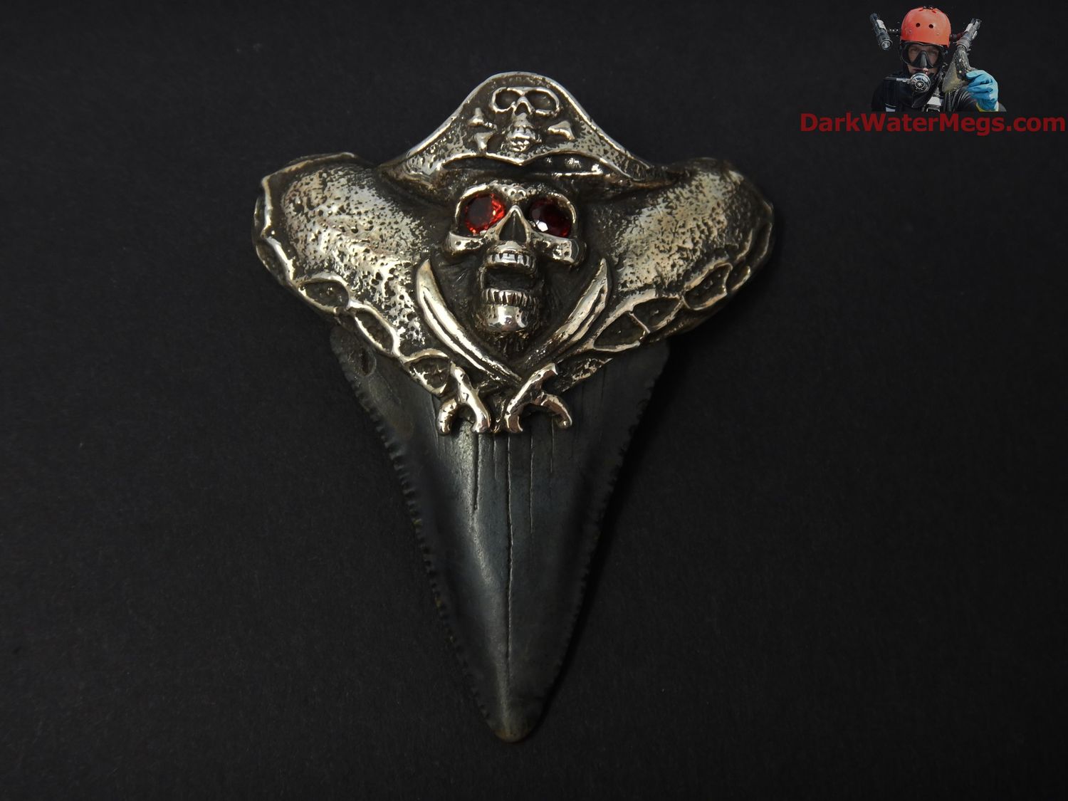 2.14&quot; fossil great white necklace with pirate sterling cap