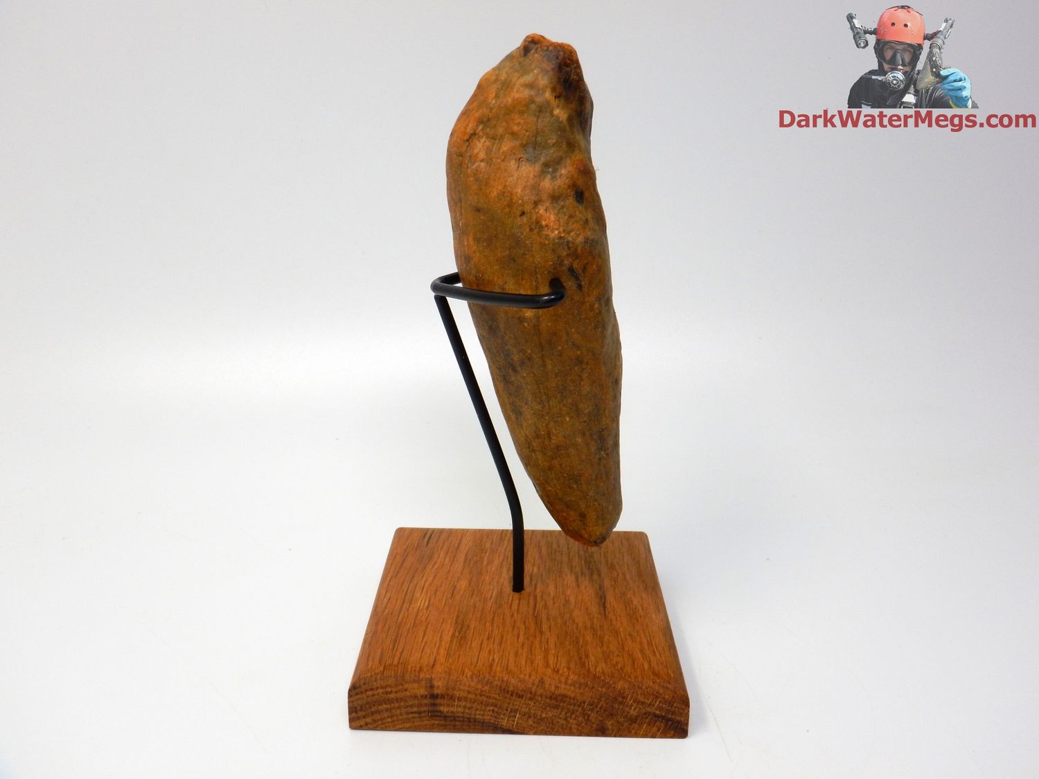 5.52&quot; stunning orange whale tooth fossil on stand