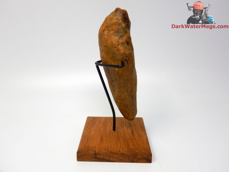 5.52&quot; stunning orange whale tooth fossil on stand
