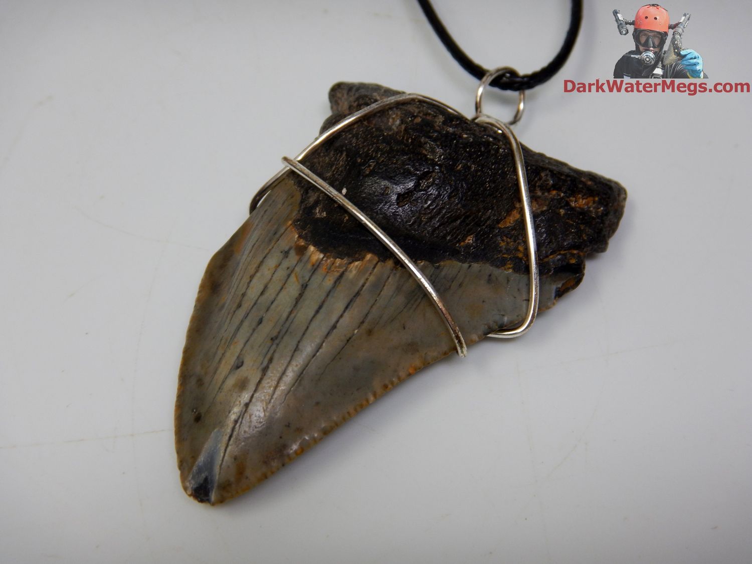 2.52&quot; Megalodon Necklace Wire Wrapped