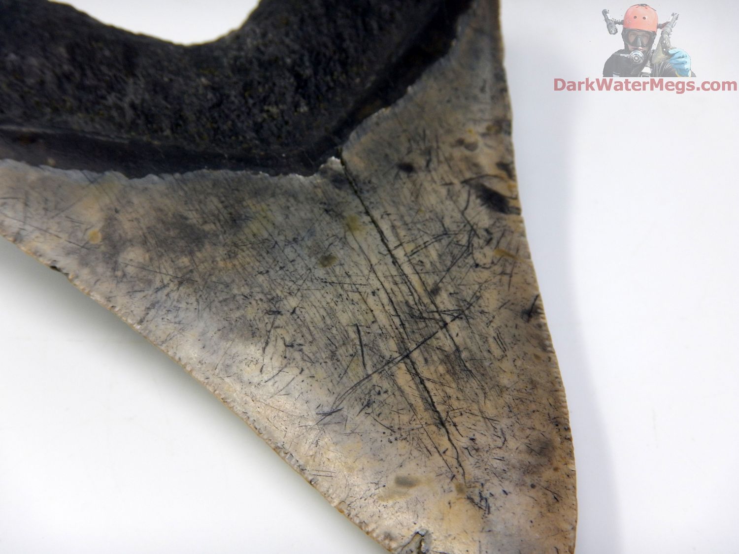 5.07&quot; patterned blade megalodon