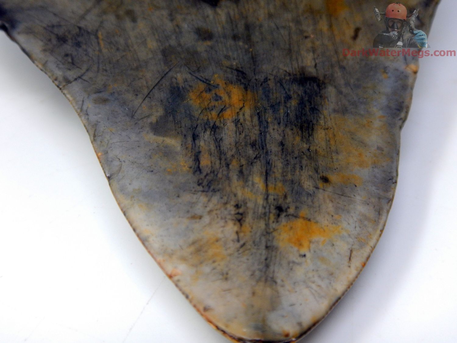 458&quot; patterned bladed megalodon