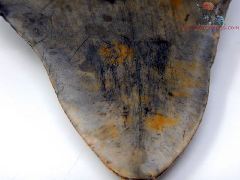 4.58" patterned bladed megalodon