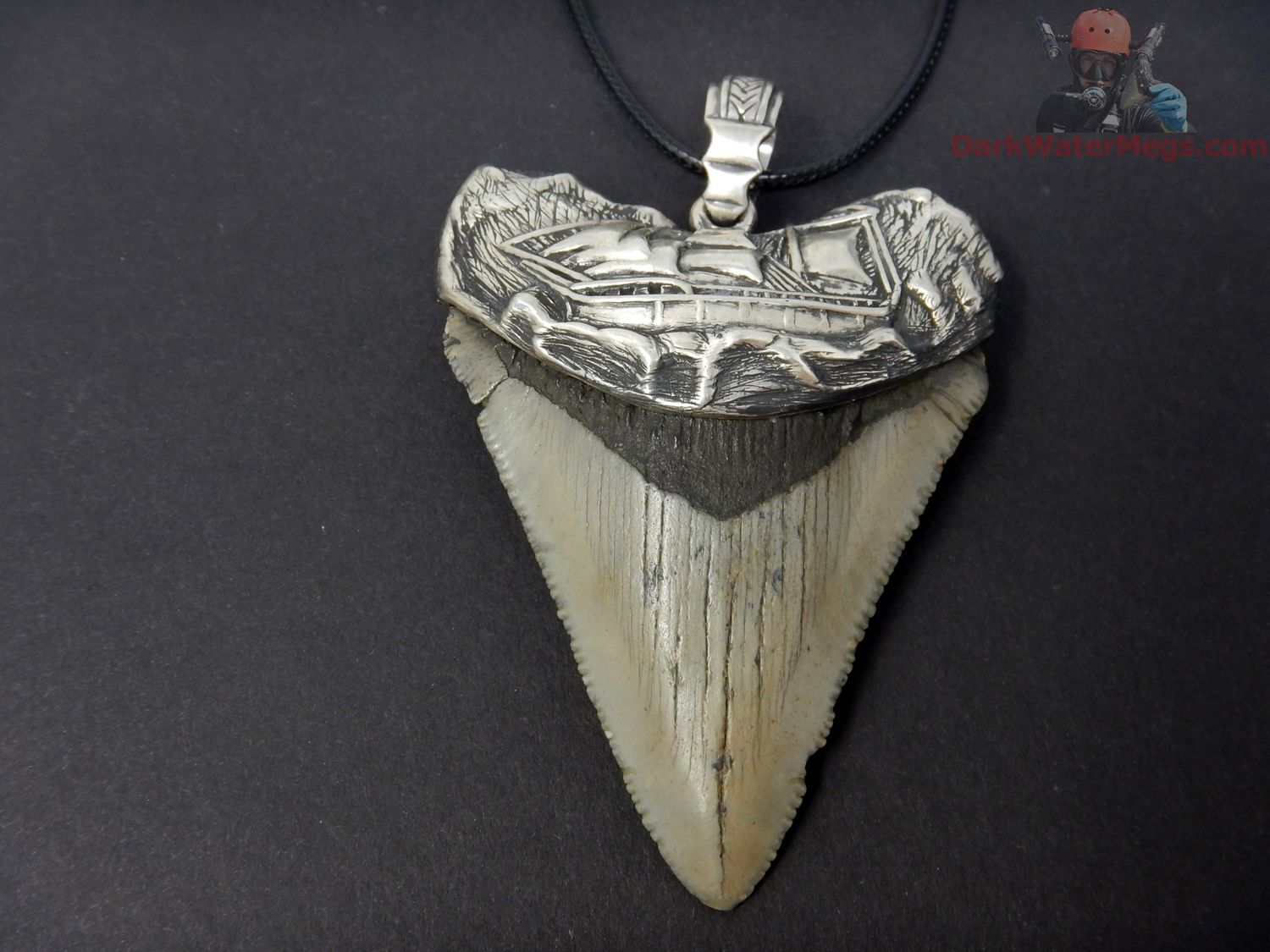 2.83&quot; Sterling ship setting megalodon pendant