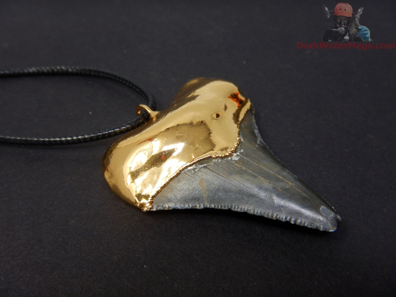 1.89&quot; Megalodon Necklace