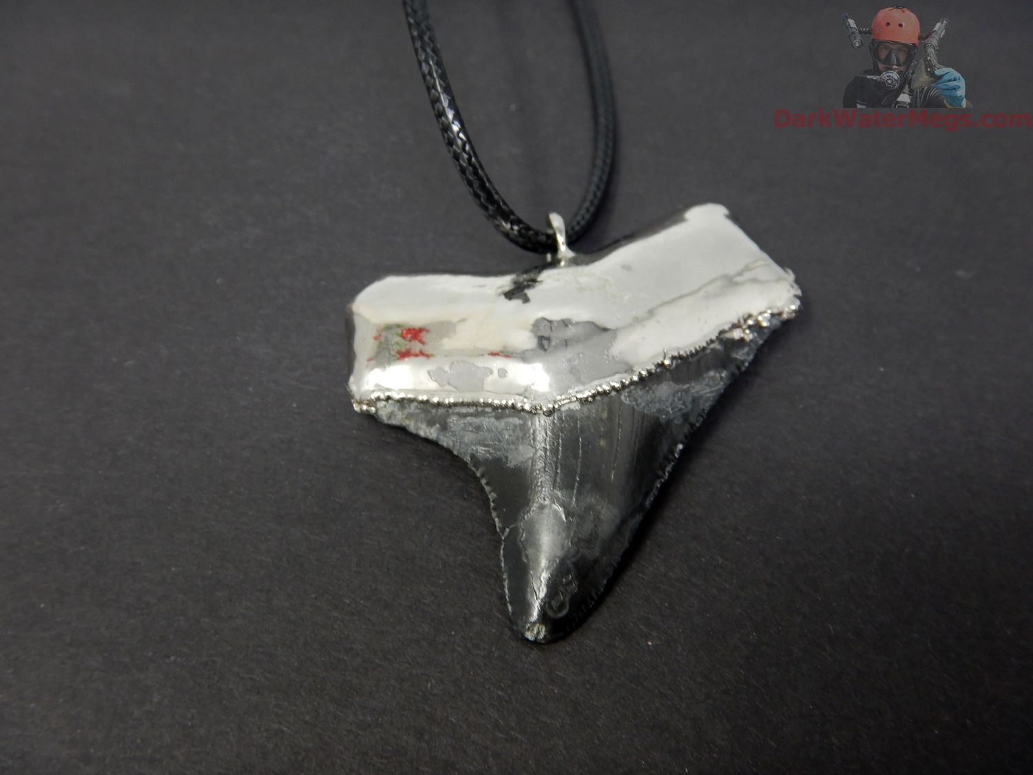 1.70&quot; Megalodon Necklace