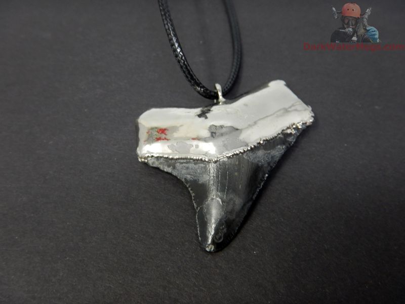 1.70&quot; Megalodon Necklace
