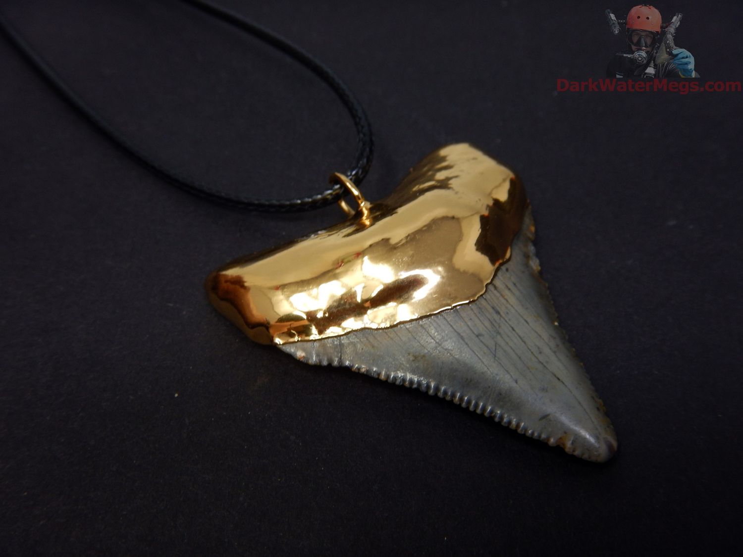 1.68&quot; Megalodon Necklace