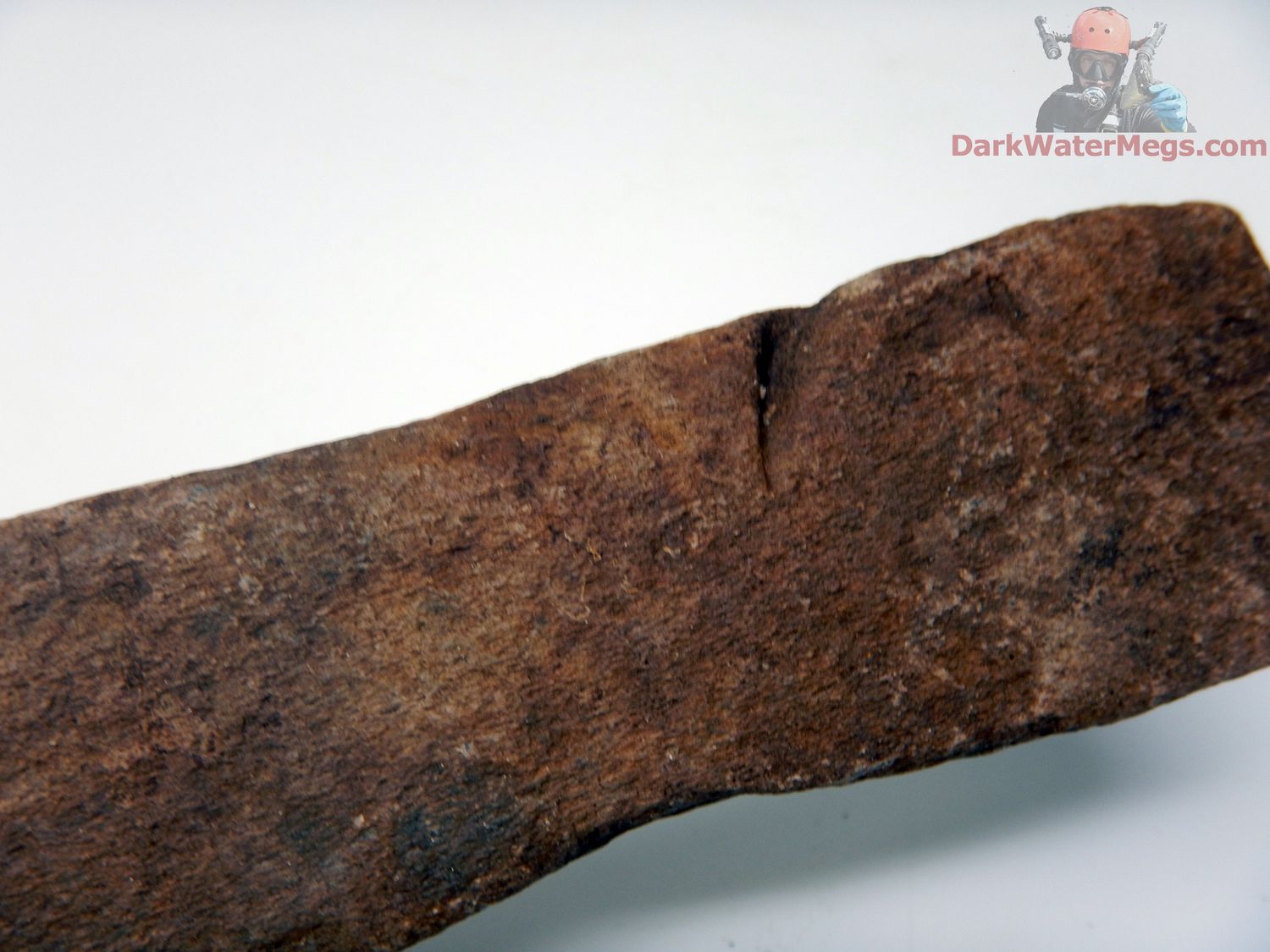 4.76&quot; tooth marked predated whale bone