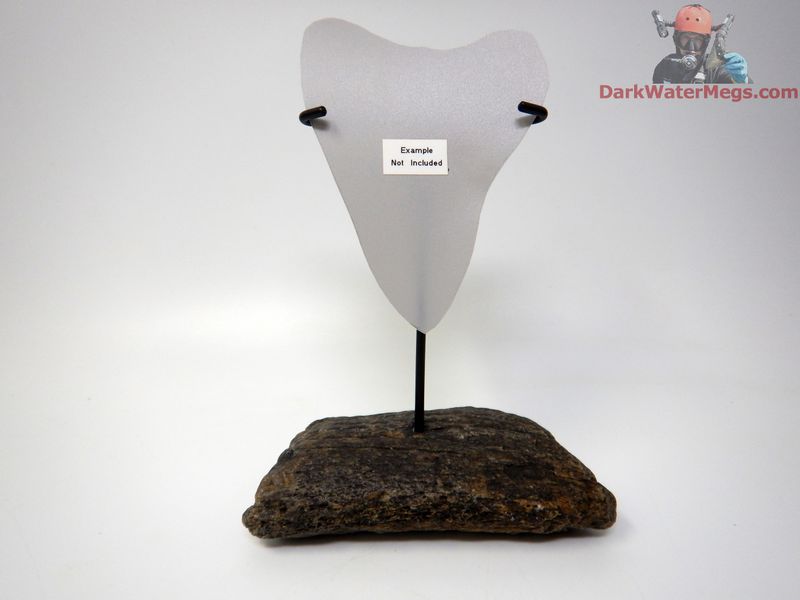 XL / L / M  Specialty Fossil Bone stand with metal upright -D2