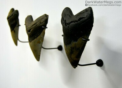 Wall Mount Megalodon Stands - Full 5 Piece Kit to Mount One Megalodon