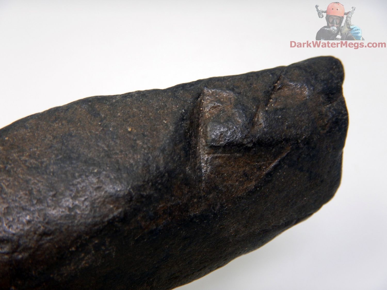 3.31" tooth marked predated whale bone