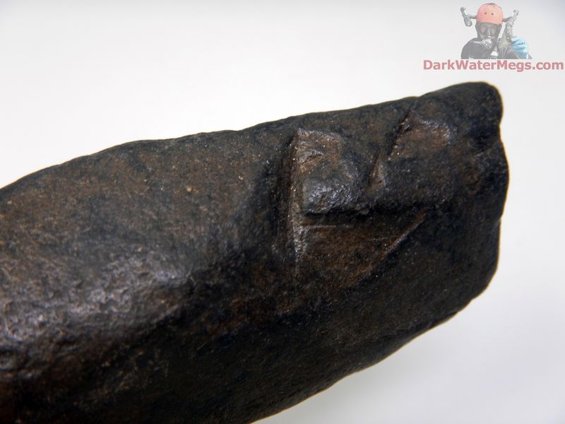 3.31" tooth marked predated whale bone