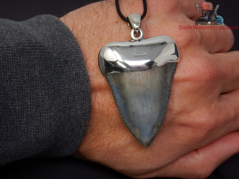 2.12" fossil great white necklace with 925 sterling cap