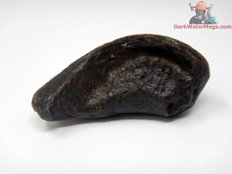 3.24" dark fossil whale inner ear bone