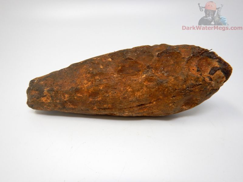6.21" exquisite and massive fossil whale