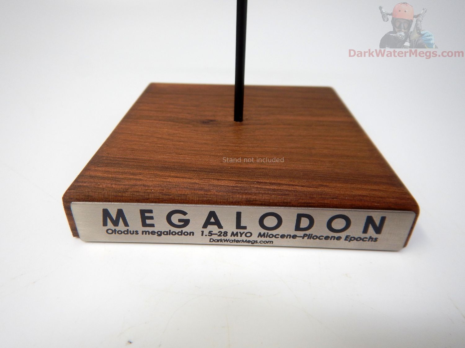 Megalodon Display Plaque - Display Nameplate