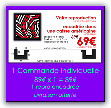 1 commande individuelle