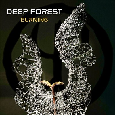 Deep Forest BURNING PRE ORDER