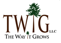 TWIG Websites