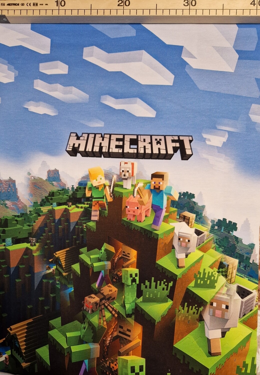Panele Minecraft 43x60cm