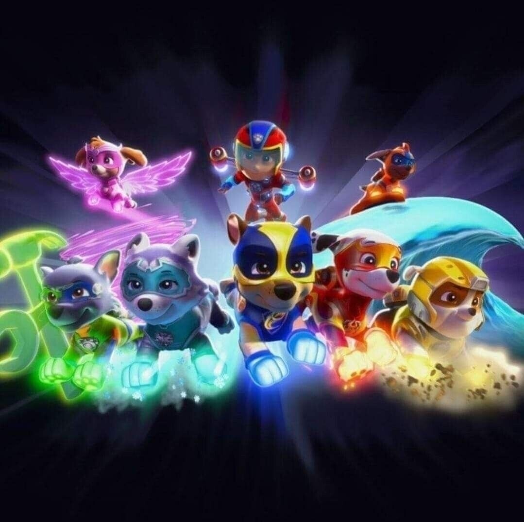 Sommersweat Paw PATROL Panele Lieferung Oktober 