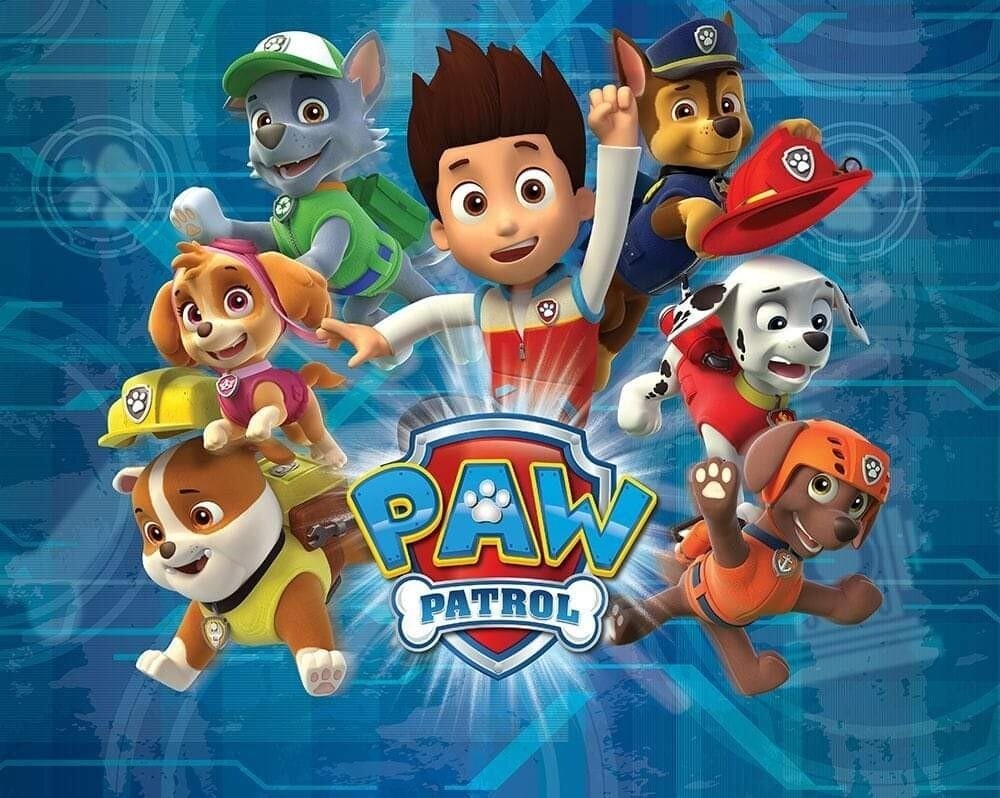 Sommersweat Paw PATROL Panele Lieferung Oktober 