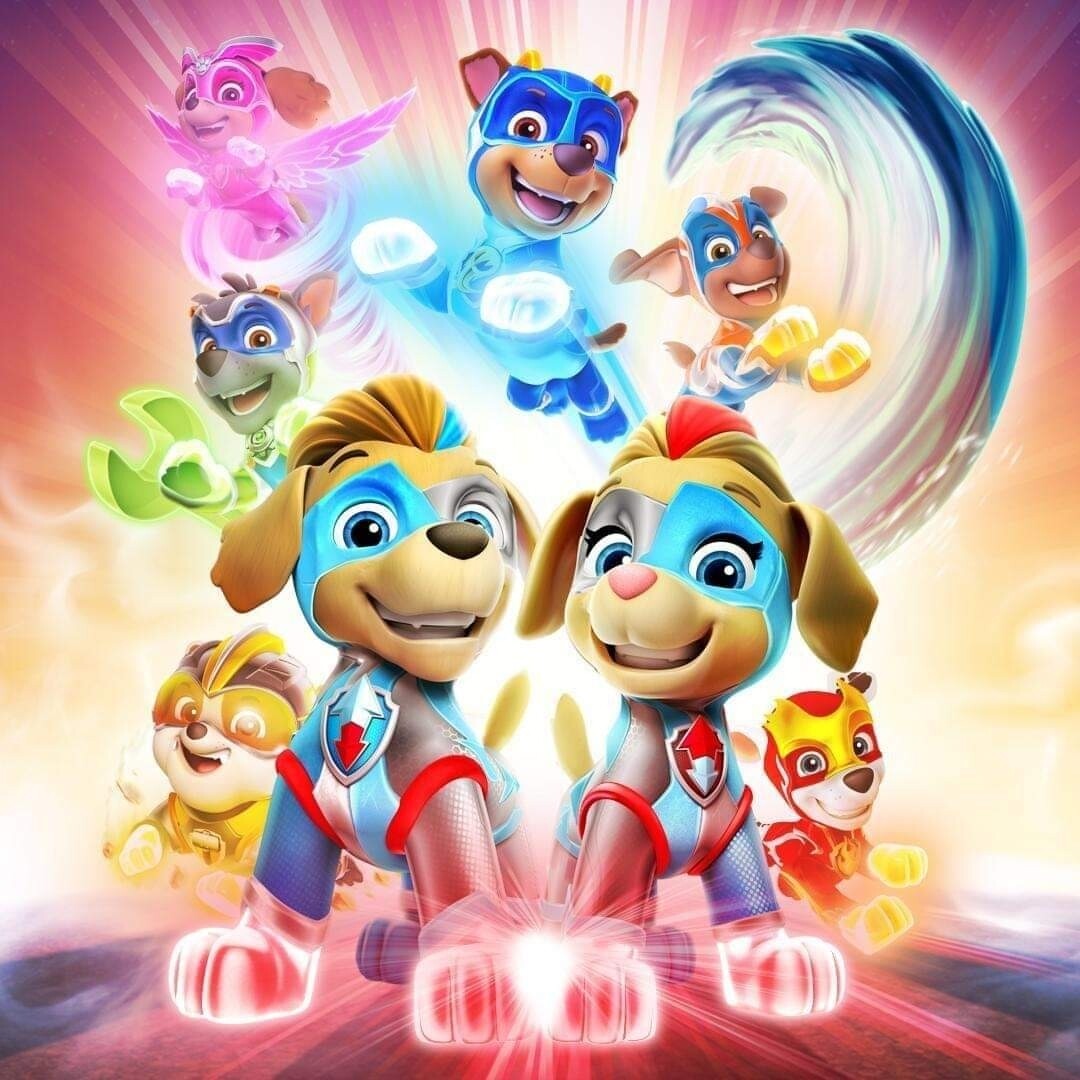 Sommersweat Paw PATROL Panele Lieferung Oktober 