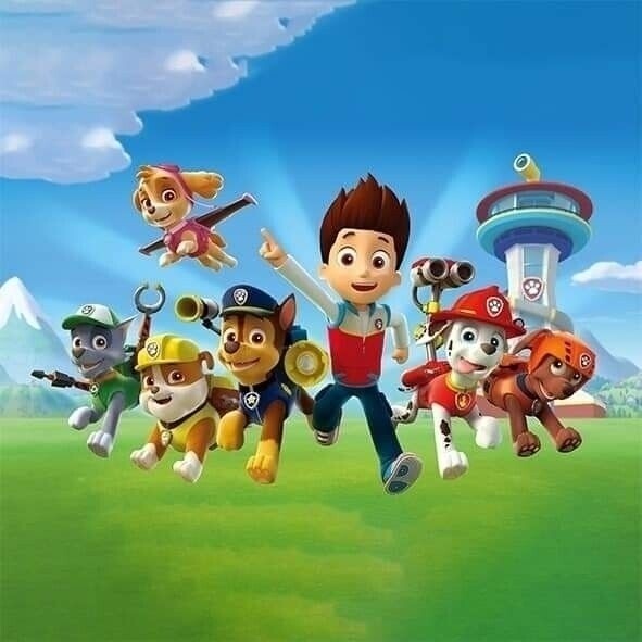 Sommersweat Paw PATROL Panele Lieferung Oktober 