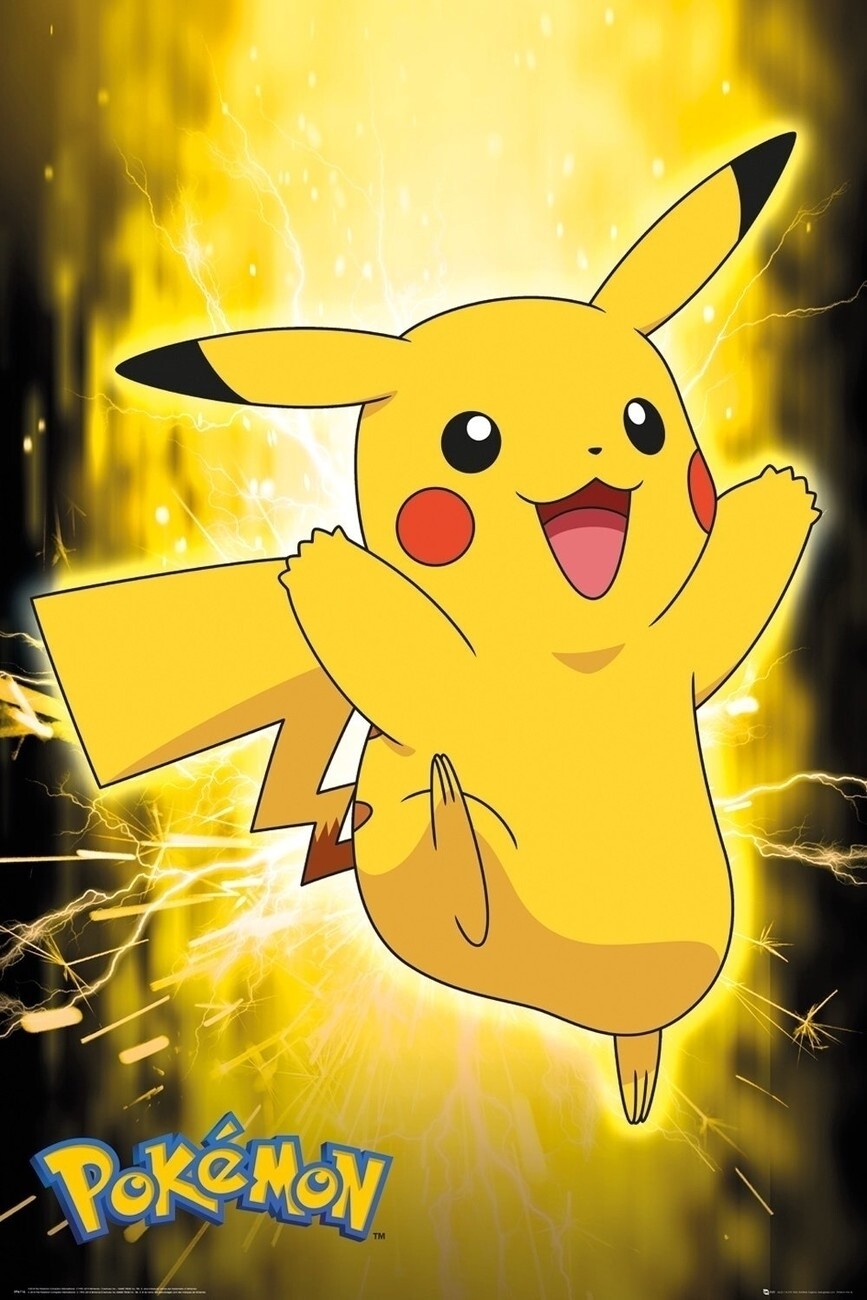 Sommersweat Pikatchu Panele Lieferung Oktober 