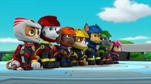 Sommersweat Paw PATROL Panele Lieferung Oktober 