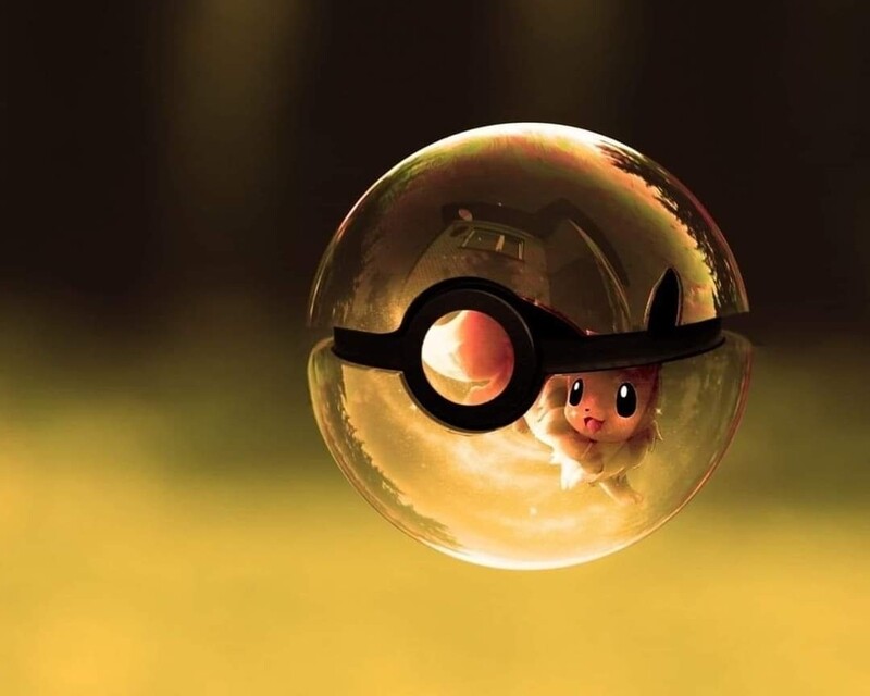 Vorbestellung Sommersweat Pokemon Panele Lieferung Oktober 